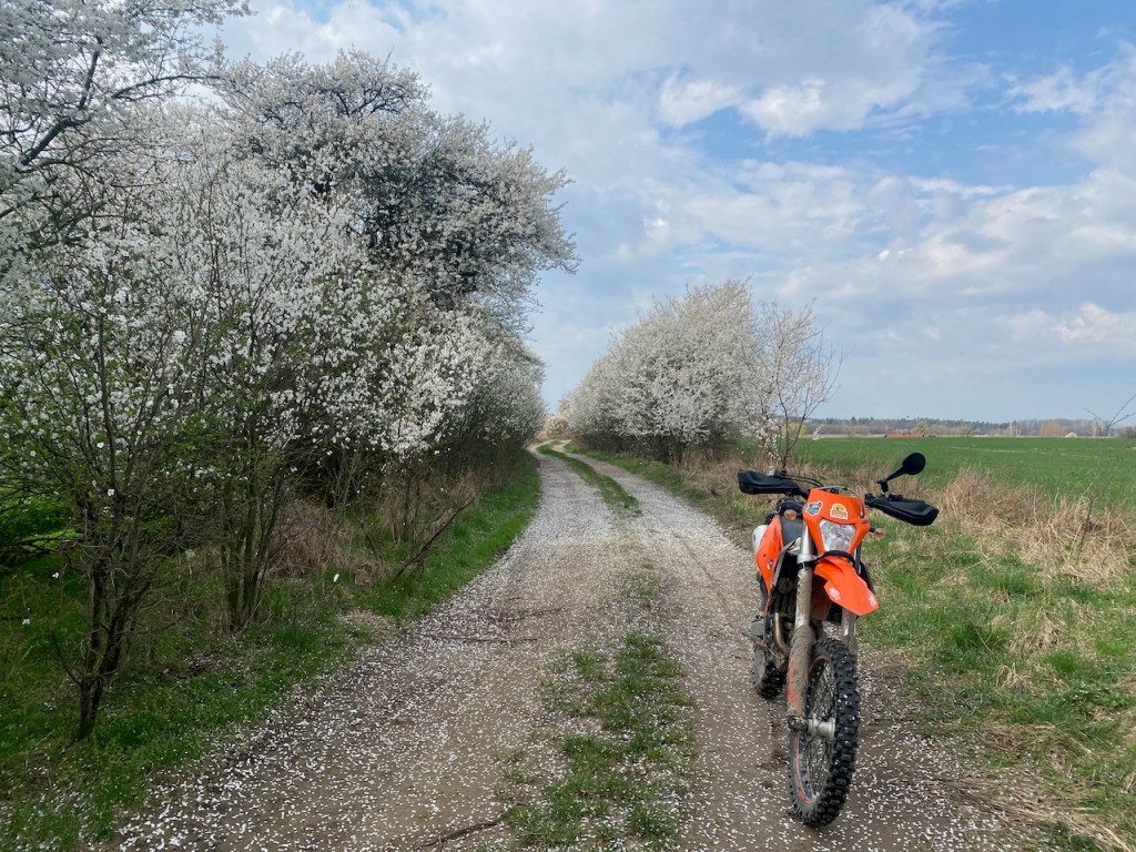 March 2024 Moto Recap