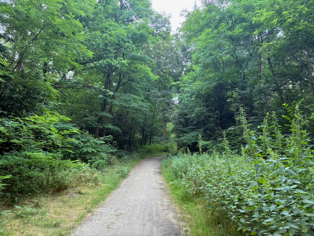 July 2025 Moto Recap